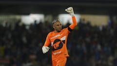 Pumas cada día es más internacional