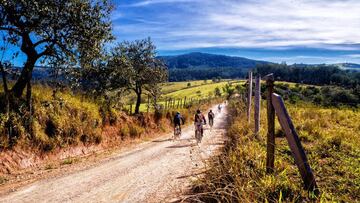 V¨ªdeo: descubre en unos minutos c¨®mo es una e-bike