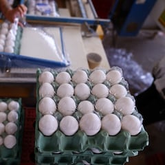 How many eggs can you eat per week? New WHO guidelines reveal the ideal intake for a healthy lifestyle