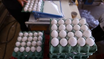 A worker packs eggs at a poultry farm in Taquari, Rio Grande do Sul, Brazil March 12, 2025. REUTERS/Diego Vara