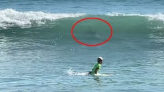 Un surfista de 11 a&ntilde;os, Tanner Brisol, intenta girar su tabla para ir hacia la orilla porque en la ola de detr&aacute;s suyo se puede ver un tibur&oacute;n que va hacia &eacute;l en Satellite Beach (Florida, Estados Unidos) el 11 de septiembre del 