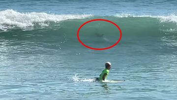 Un surfista de 11 a&ntilde;os, Tanner Brisol, intenta girar su tabla para ir hacia la orilla porque en la ola de detr&aacute;s suyo se puede ver un tibur&oacute;n que va hacia &eacute;l en Satellite Beach (Florida, Estados Unidos) el 11 de septiembre del 