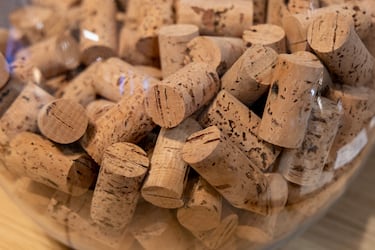 El eficaz truco para acabar con los malos olores en la nevera: basta con colocar este objeto que todo el mundo tira