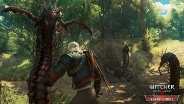 Captura de pantalla - The Witcher 3: Wild Hunt - Blood and Wine (PC)