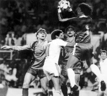 La competición fue ganada, contra todo pronóstico, por el Steaua de Bucarest rumano, que derrotó al Barcelona en la final disputada en Sevilla en la tanda de penaltis.