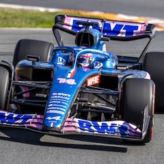 La enésima machada de Alonso