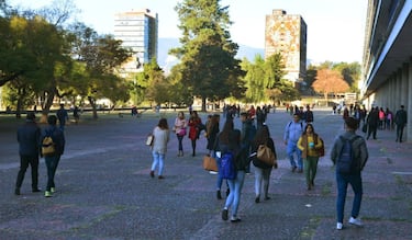 Informe revela la realidad sobre los estudiantes de carreras universitarias en México y el panorama es desolador