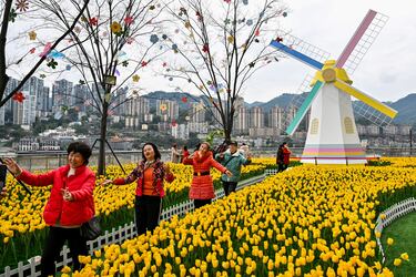 Varias mujeres bailan para un vídeo junto a flores y un molino de viento junto al río Jialing en el distrito de Yuzhong en Chongqing, en el suroeste de China. 