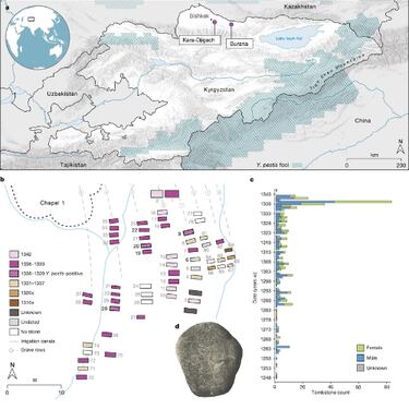 Descubierto el origen de la peor pandemia que ha sufrido la humanidad