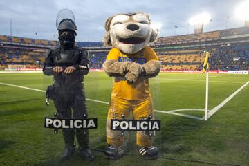 el partido entre los Tigres y Pachuca en el estadio Universitario en Monterrey, México dejo está simpática imagen de su mascota  