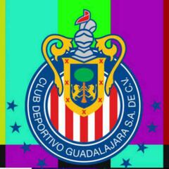 Profeco investigará fallas del servicio de Chivas TV