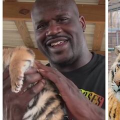 Shaquille O’Neal se defiende de las críticas después de aparecer un documental de Netflix