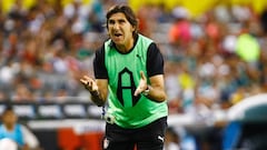 De mucha categoría: Palestino presentó a su nuevo técnico