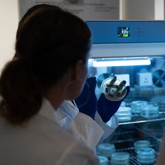 Un estudio revela qué esperan los chilenos de sus empresas: el resultado sorprende