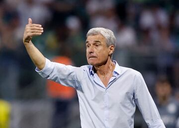 Soccer Football - Brasileiro Championship - Palmeiras v Botafogo - Allianz Parque, Sao Paulo, Brazil - June 25, 2023 Botafogo coach Luis Castro reacts REUTERS/Amanda Perobelli