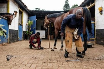 Los cuidadores Francis Wambua y Bomali Uhobe ponen a punto a los caballos en el establo. 