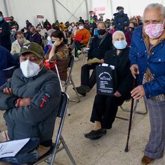 Pensión Bienestar para Adultos Mayores: ¿Cuánto aumentará y qué día entra en vigor?