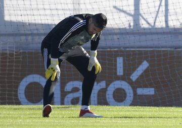 Pese a la lesión, el arquero dijo que podría haber llegado al partido inaugural ante Islandia y que fue decisión del técnico dejarlo fuera de la nómina. "Hablé con Sampaoli, le dijimos los tiempos de recuperación, que iba a estar disponible en 10 días y que estaría para el primer partido ante Islandia", señaló en diálogo con TyC Sports el 9 de junio pasado.