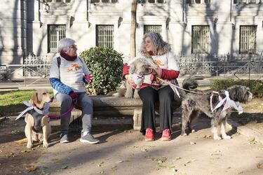 La San Perrestre 2023 se celebra con el objetivo de luchar contra el abandono y el maltrato de animales gracias al dinero recaudado con las inscripciones. La San Perrestre consiste en un tour por el centro histórico de Madrid al que asisten los participantes y sus perros. Además, se dan las ‘can panadas’, en las que las mascotas comen 12 bolas de pienso.