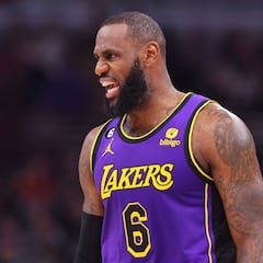 LeBron James stands against Elon Musk blue tick policy