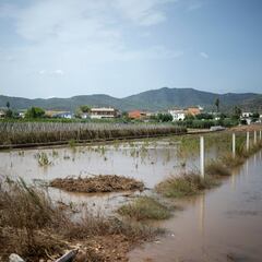 Hoy lunes continúa la DANA más letal: las zonas más afectadas