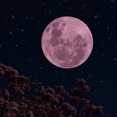 Luna Llena de junio 2025: cuándo y a qué hora ver la Luna de Fresa en México