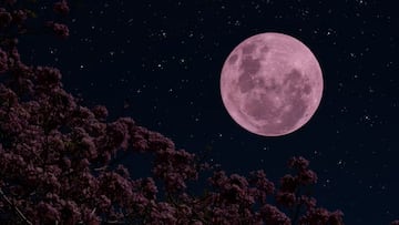 El punto máximo de la Luna llena de Fresa será visible el 11 de junio e impactará en el signo zodiacal de Sagitario.