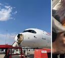 Pánico en un vuelo Madrid París: un ave chocó contra el avión y la escena es apocalíptica