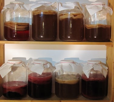 El superalimento de las bebidas: buena para la tensi¨®n arterial