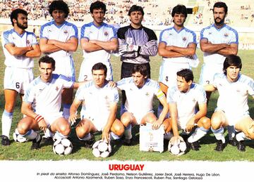 El uruguayo fue el tercer arquero en la Copa del Mundo de Italia '90 y en 1996 tuvo un paso de una temporada por Palestino.