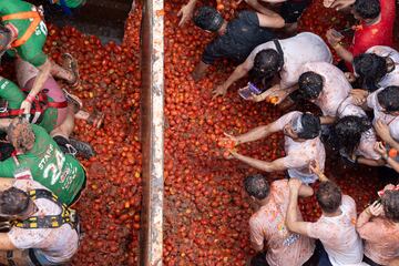 Las mejores im¨¢genes de La Tomatina de Bu?ol