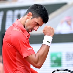 Djokovic fulfills his grand dream