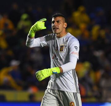 El guardameta argentino fue campeón con Newell's Old Boys en 2013. Para el Apertura 2013, Nahuel Guzmán se enroló con Tigres, equipo con el cual ha levantado cuatro títulos de liga.