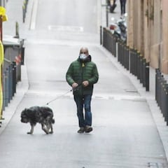 Toque de queda en Madrid: ¿se puede sacar al perro más tarde de las 23:00?