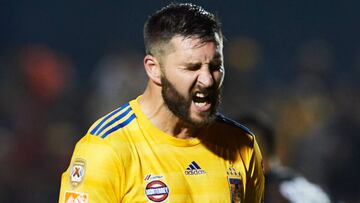 En Tigres apoyarán a Gignac para lograr título de goleo