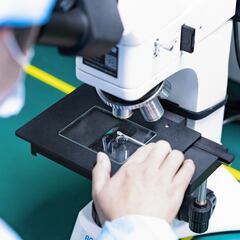 Anatomía patológica: tres cursos para especializarte en esta rama médica al alza