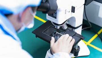 Cursos de FP y másteres de Anatomía Patológica en Emagister