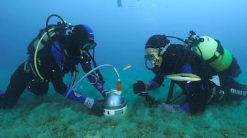 Cádiz tsunami peligro amenaza