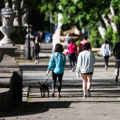 Estado de Alarma en Madrid: nuevas medidas, restricciones, qué se puede hacer y qué no