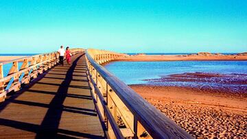 Divertida y acogedora, marinera y pesquera, como lo demuestra su puerto y su lonja, de las m¨¢s importantes en el territorio nacional en la compra-venta de pescado fresco. Enclavada entre marismas, pinares y playas, Isla Cristina te ofrece en estas ¨²ltimas variedad y cantidad, pues contando los propios y mancomunados posee algo m¨¢s de trece kil¨®metros. Destacan la Playa de El Cantil, Punta del Caim¨¢n, playa Central, playa del Hoyo, playa de la Casita Azul, playa de La Redondela y playa de Islantilla La Costa de Huelva ofrece cientos de rincones en los que poder perderte y desconectar del mundanal ruido. Exquisitos paisajes en los que disfrutar de la naturaleza en pleno apogeo y con la tranquilidad de no tener el agobio de decenas de personas alrededor.?