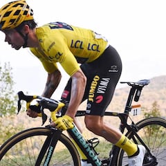 Roglic: "No escondo nada, se puede confiar en mi limpieza"