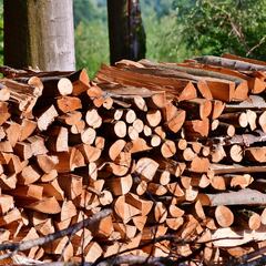 Bono Calefacción 2023: así puedes ver con tu RUT si recibes los $100 mil pesos del ex Bono Leña