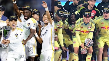 LA Galaxy New York Red Bulls MLS Cup