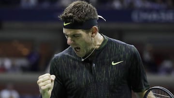 El tenista argentino Juan Mart&iacute;n del Potro celebra tras ganar un punto ante el estadounidense Steve Johnson durante su partido en el US Open.