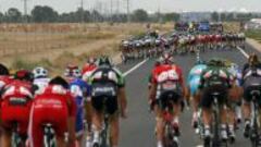 Llegó el festival del viento