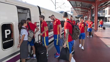 Los miembros de la Selecci&oacute;n de f&uacute;tbol viajan habitualmente en AVE cuando juegan en Espa&ntilde;a.