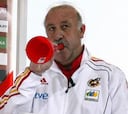 Del Bosque ha visto tres veces el partido de Suiza