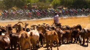 Un instante de la cuarta etapa entre Mairena y Córdoba.