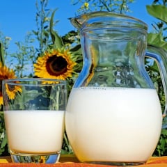 Leche vegetal, deslactosada, entera o con chocolate, estas son las mejores marcas en México