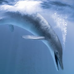 La primera criatura gigante que habitó la Tierra
